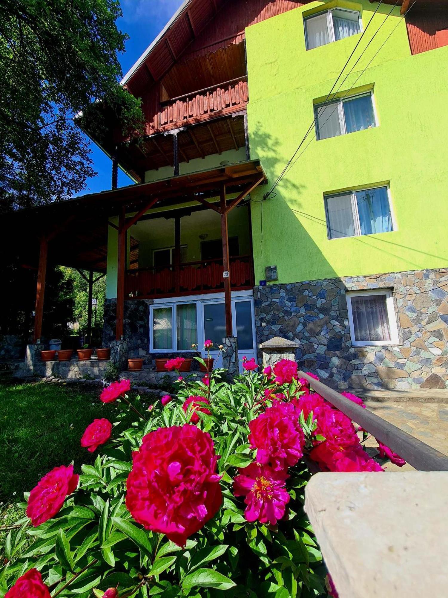 Vila Giulia Voineasa Exterior photo